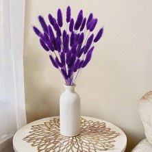 Netten Evime Kuru Çiçek Doğal Koyu Mor Pamuk Otu 10GRAM 1. Kalite Şoklanmış Bozulmaz