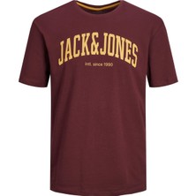 Jack & Jones Jjejosh Rahat Kesim Tişört 12236514