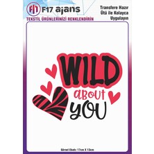 F17 Ajans Ütü ile Yapışan Tekstil Dtf Transfer Baskı