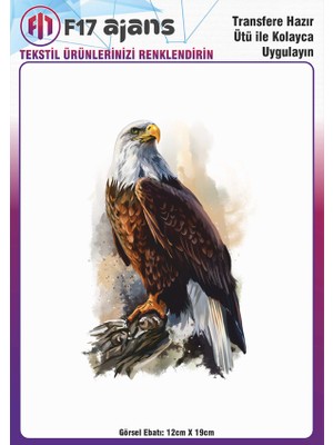F17 Ajans Ütü ile Yapışan Tekstil Dtf Transfer Baskı Kartal