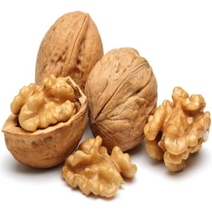 Rakımı 0-800 Metre Arasında Olan Yerler Için Ceviz Fidanı Paketi