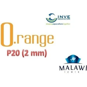 Inve P - 20 Kovadan Bölme 100 gr