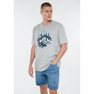 Erkek Perfectly Baskılı Gri Tişört 0611384-80196