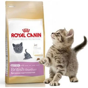 Royal Canin British Shorthair Kitten Yavru Kedi Maması 2 kg