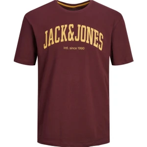 Jack & Jones Jjejosh Rahat Kesim Tişört 12236514