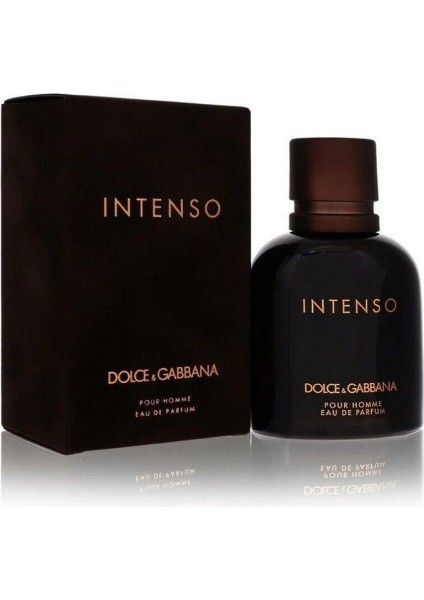 Dolce Gabbana Intenso Pour Homme Edp 75 ml