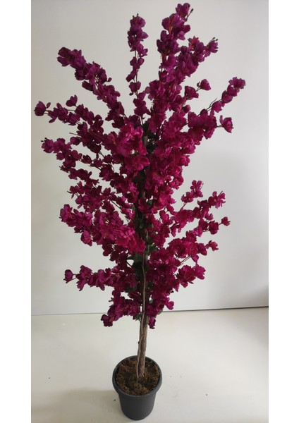 Rüzgar Yapay Çiçekçilik 150 cm Mor Bahardalı