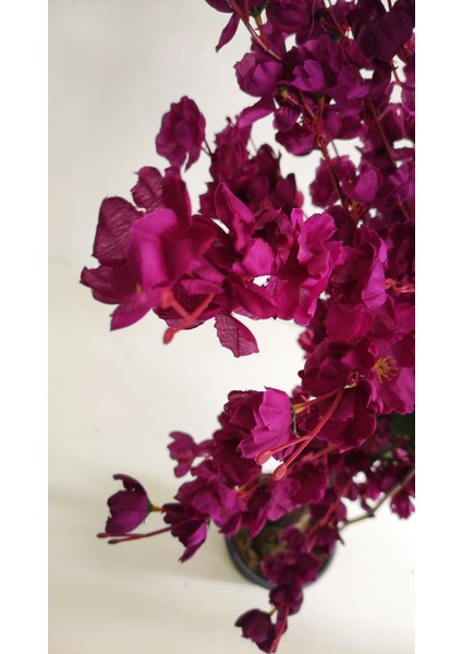 Rüzgar Yapay Çiçekçilik 150 cm Mor Bahardalı fırsatları