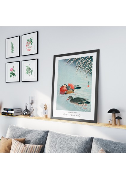 Ohara Koson Karda Mandarin Ördekleri Siyah Çerçeveli Tablo