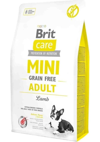 Brit Care Mini Tahılsız Kuzu Etli Küçük Irk Yetişkin Köpek Maması 2 kg modelleri