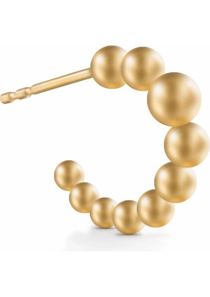 Dalena Küpe 1 Mikron 18 Ayar Altın Kaplama (925 Ayar Gümüş Üzerine) fiyatları