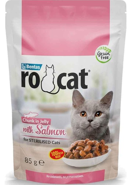 Somonlu Kedi Yaş Maması 85 gr