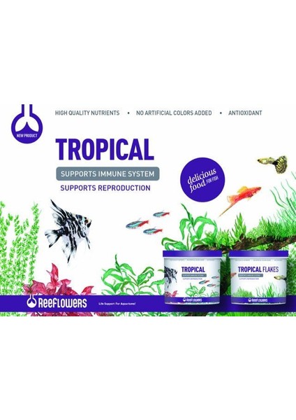 Reeflowers Tropical Kovadan Bölme 100 gr