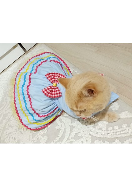 Rengarenk Festival Temalı Renkli Papyonlu Tüllü Kedi Köpek Kıyafeti Elbisesi fırsatları