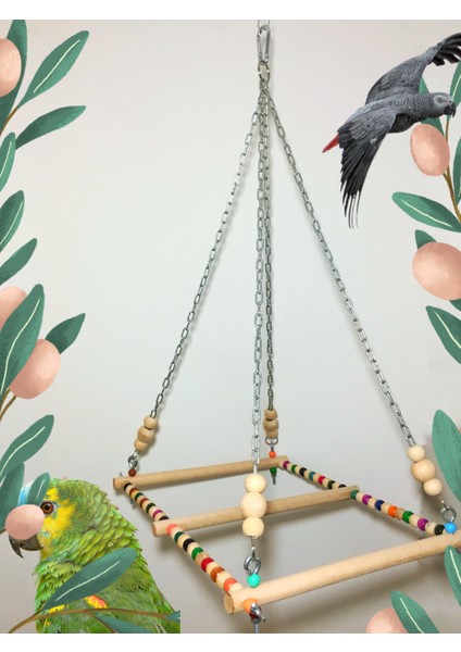 Zincirli Renkli Papağan Salıncağı