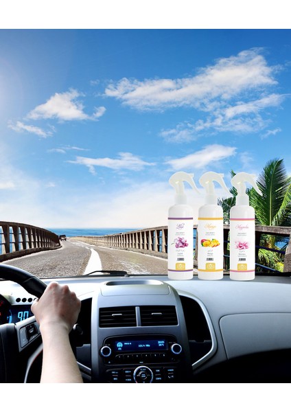 Lavanta Kokusu Oto Kokusu Spreyli Araç Oda ve Ortam Kokusu 400 ml Kalıcı Uzun Ömürlü fiyatları