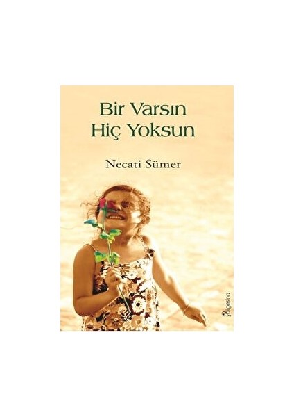 Bir Varsın Hiç Yoksun - Necati Sümer