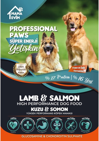 Süper Premium Kuzulu & Somonlu Yetişkin Köpek Maması