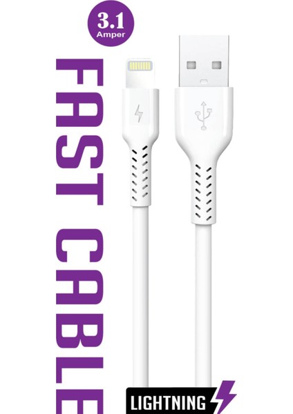 USB IPHONE 3.1 Amper Lıghtnıng Hızlı Şarj Kablosu