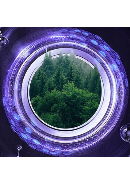iPhone 11 Uyumlu Go Des Cl-10 Kamera Lens Koruyucu