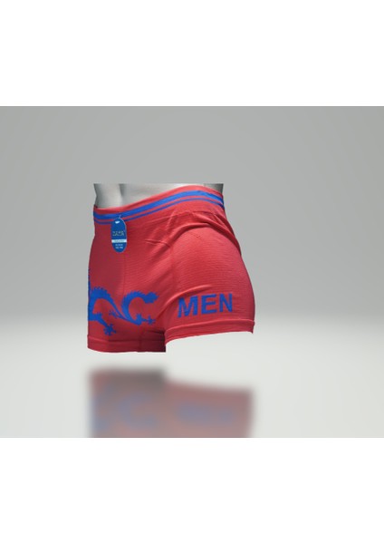 Boxer modelleri