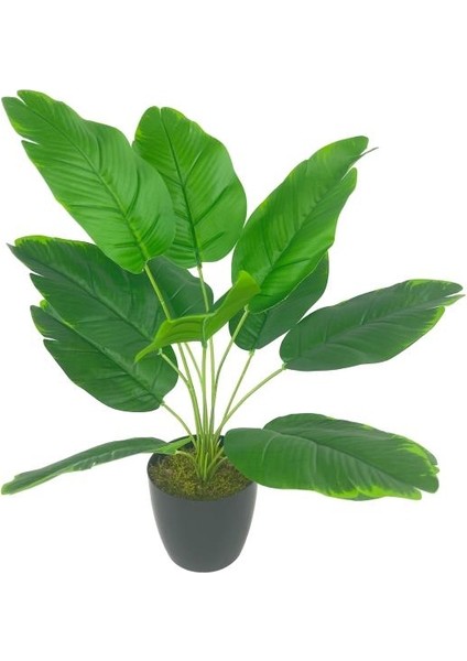 Yapay Çiçek Saksıda Yeşil Muz Yapraklı 12DAL 50CM Salon Çiçeği Yapay Bitki