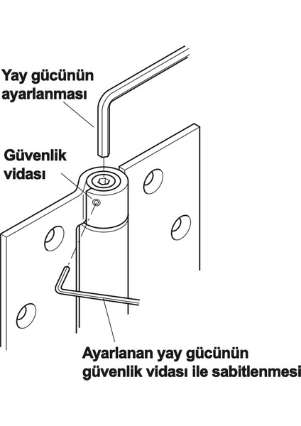 Yaylı Kapı Menteşesi - Inox Renkli 2'li Paket