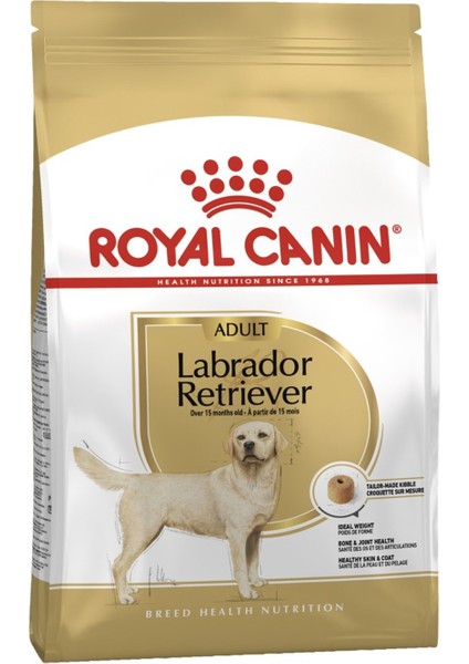 Royal Canin Labrador Retriever Yetişkin Köpek Maması 12 kg