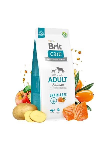 Brit Care Skin & Coat Tüm Irklar Için Somonlu Tahılsız Yetişkin Köpek Maması 12 kg