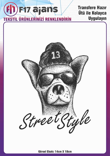 Ütü ile Yapışan Tekstil Dtf Transfer Baskı Street Style