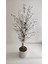Rüzgar Yapay Çiçekçilik 150 cm Metal Saksıda Beyaz Bahardalı 1