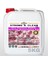 Oto Parfüm Konsantre 1/8 Bahar Kokulu 5kg 1