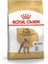 Royal Canin Poodle Yetişkin Köpek Maması 3 kg 1