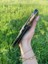 Iphone 11 Kılıf Lux Köşeli 3
