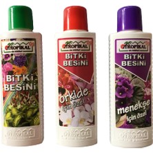 Tropikal Bitki Besini 3'Lü Set