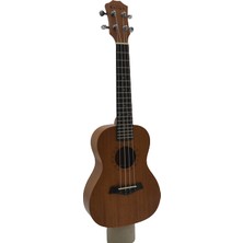 Kulipa Amz-16 Concert Ukulele Maun + Kılıf