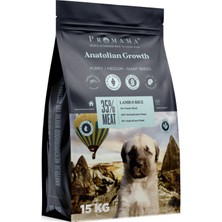 Promama Energy5000 Growth Puppy Yavru Köpek Maması 15 KG