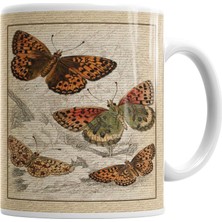 Baskı Dükkanı Vintage Kelebek Tasarım Kupa Bardak Porselen