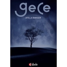 Gece - Atilla Barışer