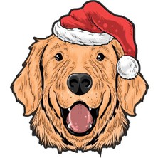 Sticker Fabrikası Golden Köpek Noel Şapka Sticker 00271 5 x 5.5 cm