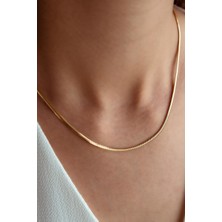 Semiz Kuyumculuk Balık Sırtı Klasik Altın Zincir