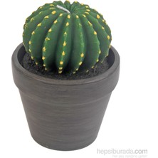 Hepsi Dahice Setabianca Fun Candle Kaktüs 4 D8cm