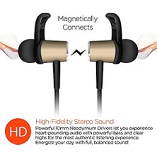 Hypergear Magbuds Kulak İçi Sporcu Bluetooth Kulaklık Siyah - Altın