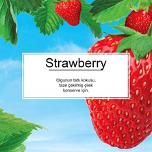 Little Trees Strawberry Çilek Aromalı Oto Kokusu 3 Adet