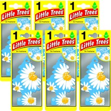 Little Trees Daisy Chain Papatya Aromalı Oto Kokusu 6 Adet