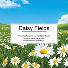 Little Trees Daisy Chain Papatya Aromalı Oto Kokusu 6 Adet