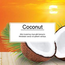 Little Trees Coconut Hindistan Cevizi Aromalı Oto Kokusu 3 Adet