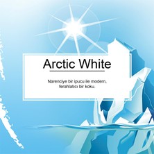 Little Trees Arctic White Ferahlığı Aromalı Oto Kokusu 24 Adet