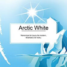 Little Trees Arctic White Ferahlığı Aromalı Oto Kokusu 12 Adet