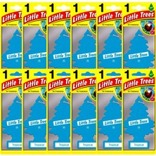 Little Trees Tropikal Aromalı Asma Oto Kokusu 12 Adet